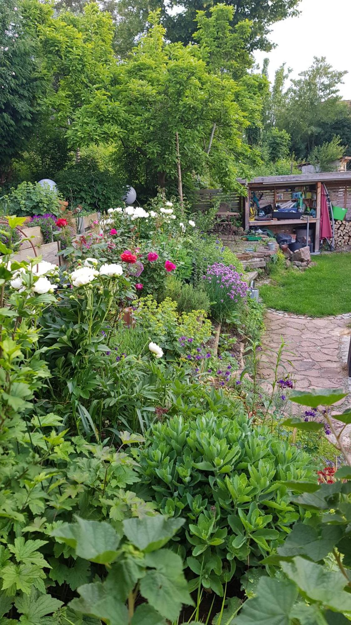 Wohnung Mit Sauna, Garten & Schwimmteich Bietigheim-Bissingen Zewnętrze zdjęcie