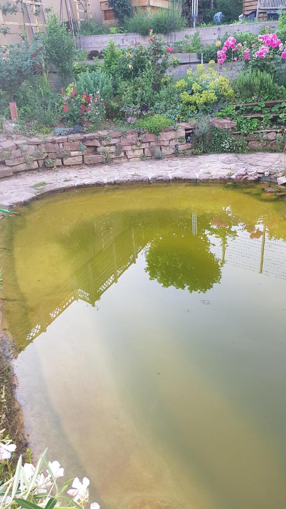 Wohnung Mit Sauna, Garten & Schwimmteich Bietigheim-Bissingen Zewnętrze zdjęcie