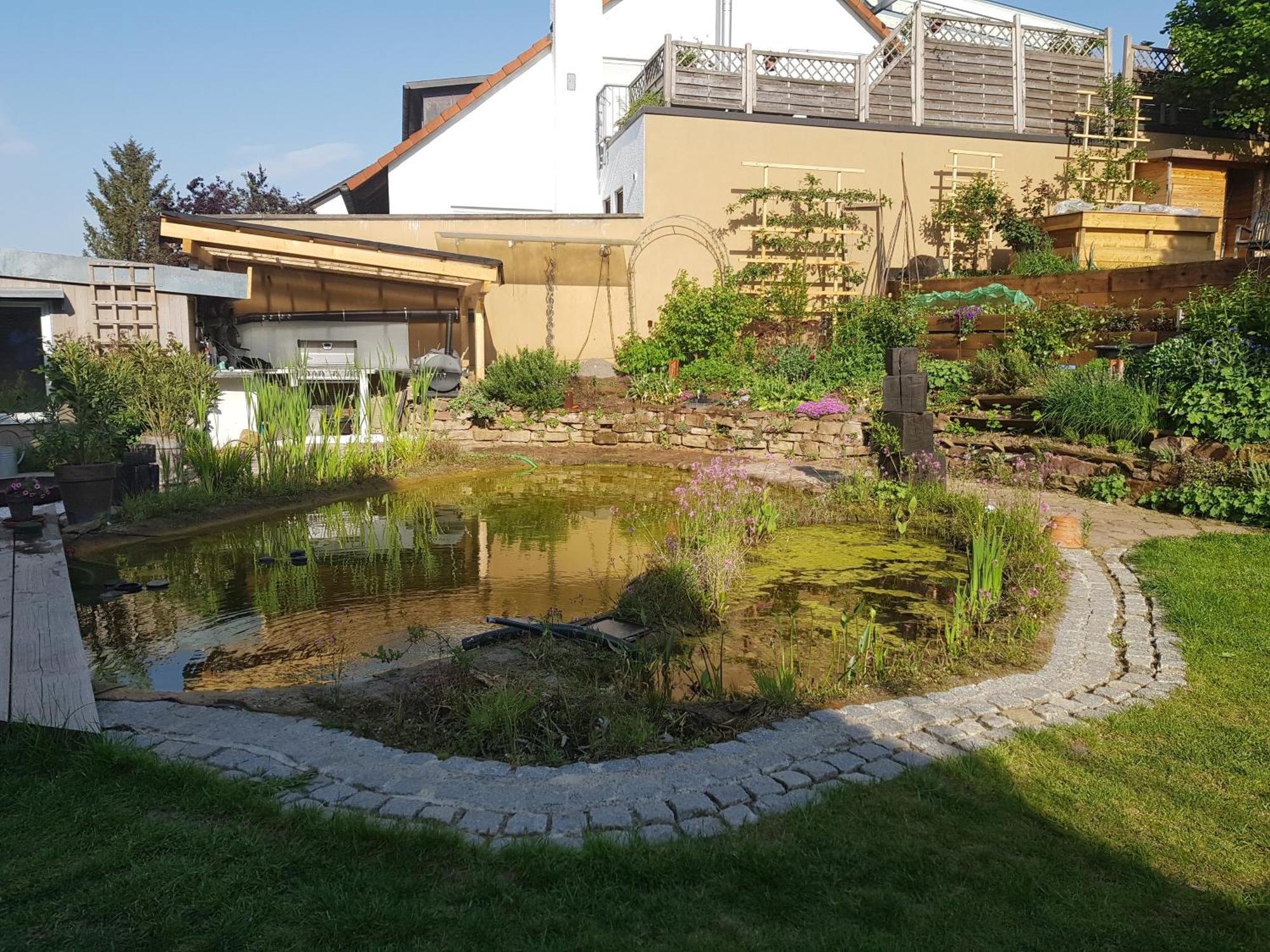 Wohnung Mit Sauna, Garten & Schwimmteich Bietigheim-Bissingen Zewnętrze zdjęcie